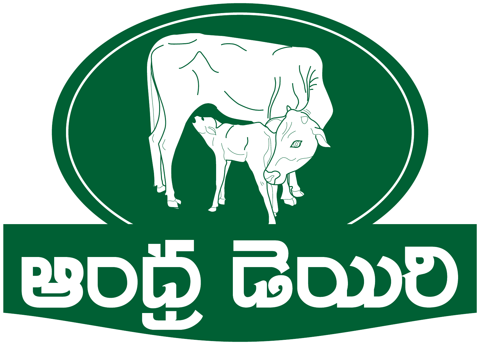 Andhra Dairy