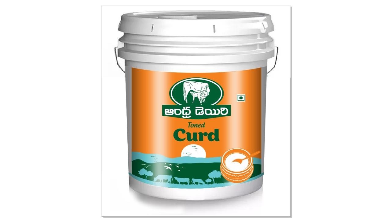 Toned Curd — Bulk Pail pack from Andhra Dairy
